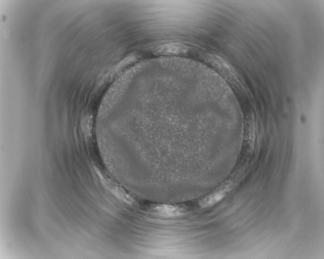 X0000087670326200705251625