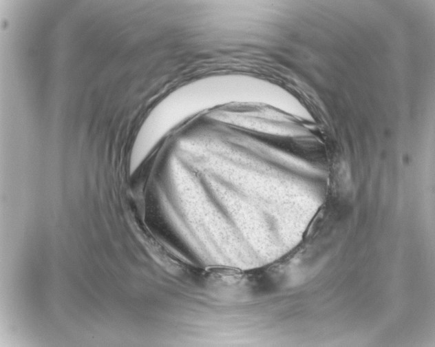 X0000087670329200705251625