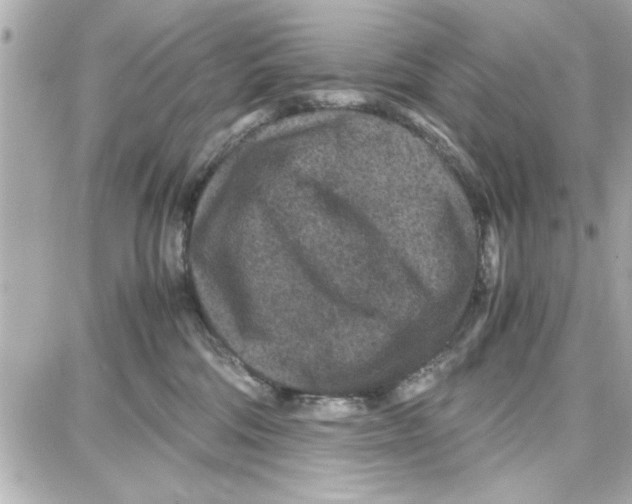 X0000087670330200705251625