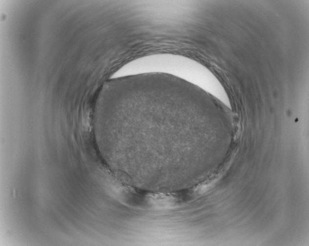 X0000087670331200705251625