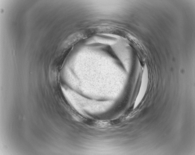 X0000087670333200705251625