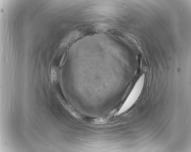 X0000087670335200705251625