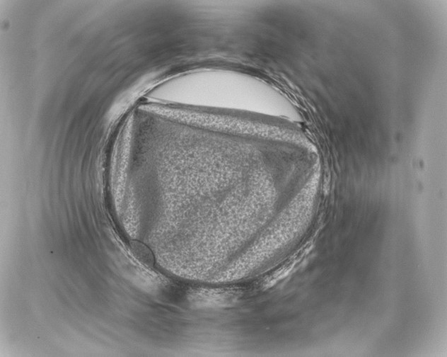 X0000087670341200705251624