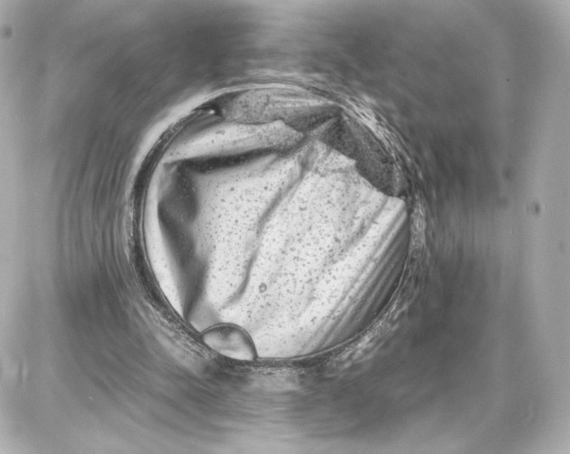 X0000087670342200705251624