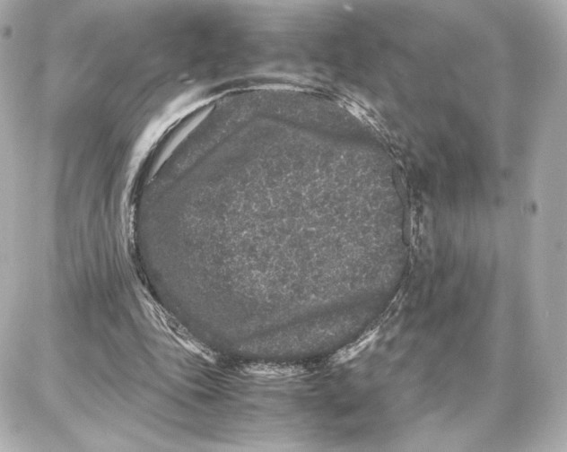 X0000087670343200705251624