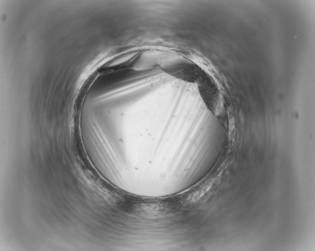 X0000087670344200705251624