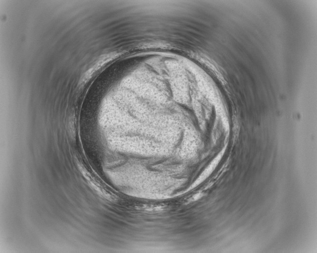 X0000087670345200705251624