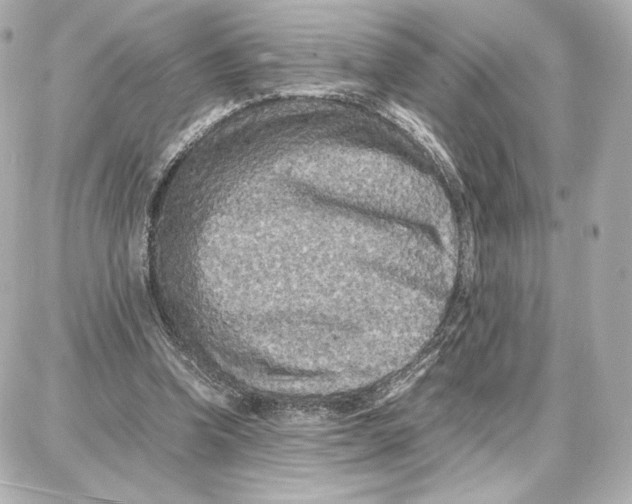 X0000087670346200705251624