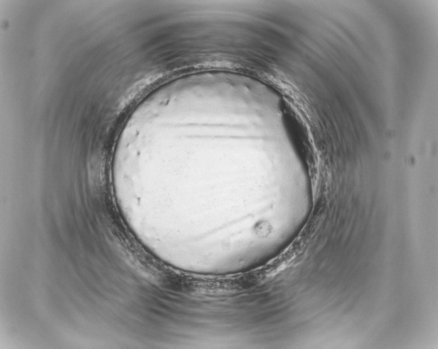 X0000087670347200705251624