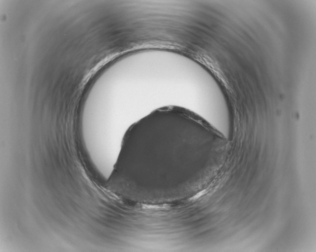 X0000087670348200705251624