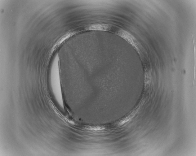 X0000087670349200705251624