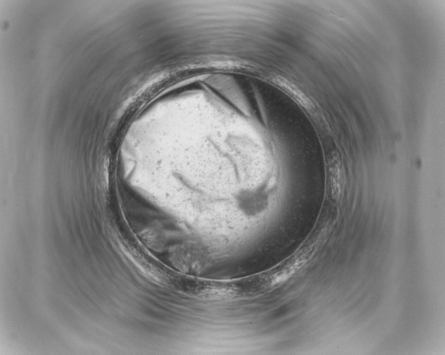 X0000087670350200705251624