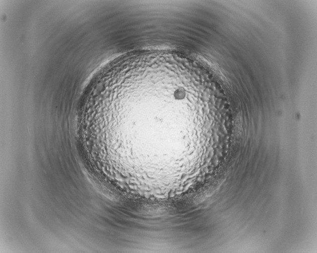 X0000087670351200705251624