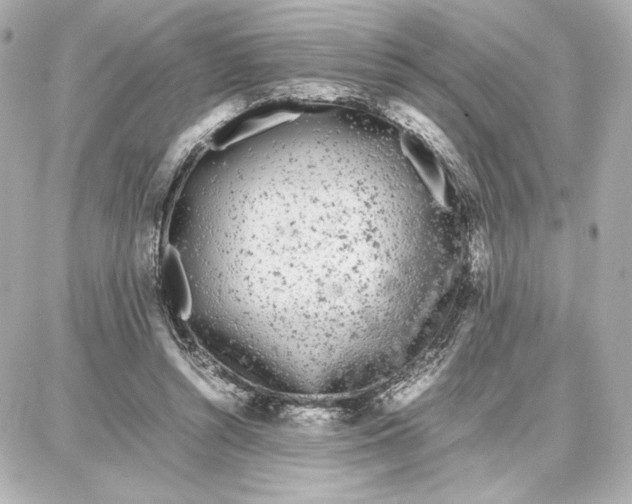 X0000087670352200705251624