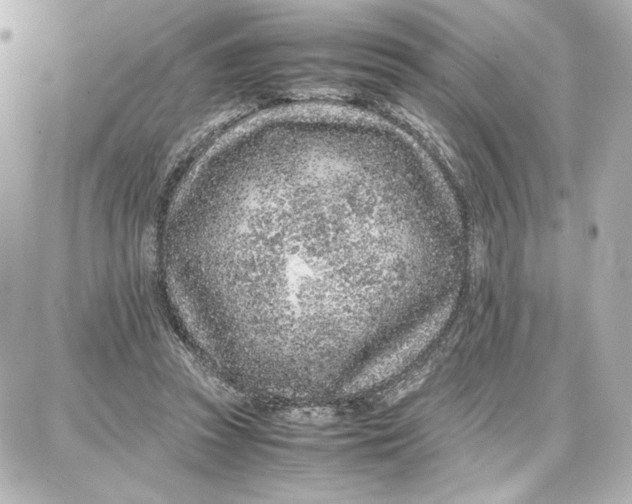 X0000087670353200705251624