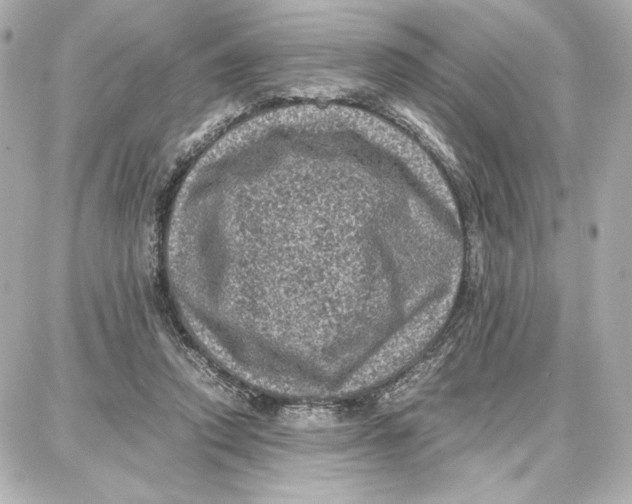 X0000087670354200705251624