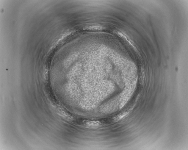 X0000087670355200705251624