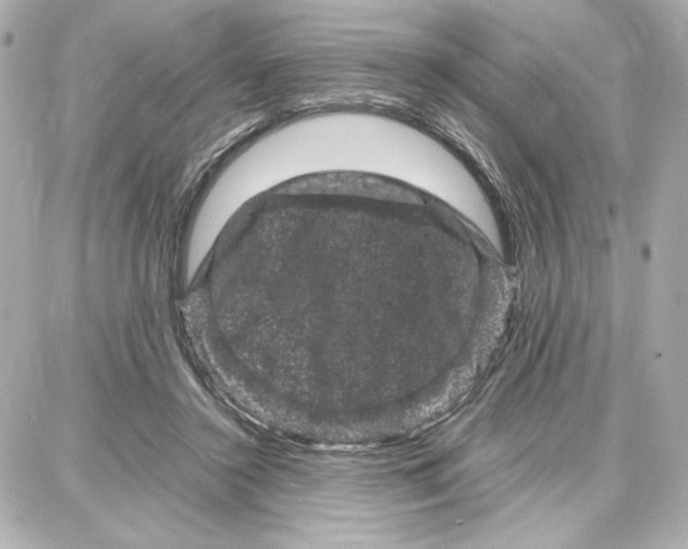 X0000087670356200705251624