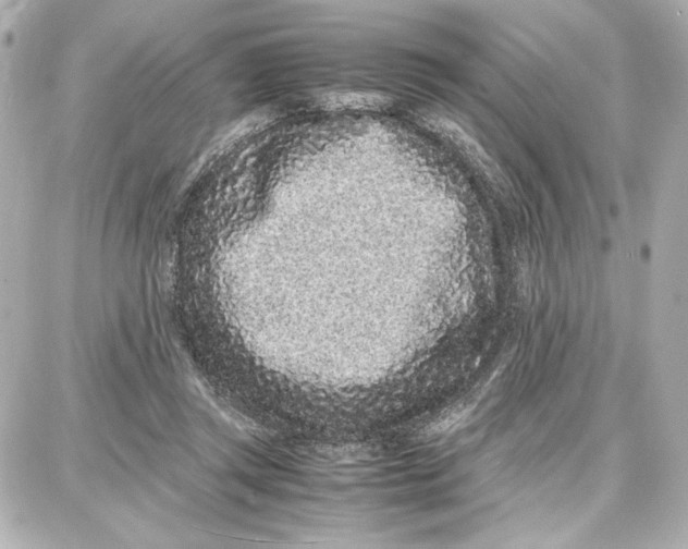 X0000087670357200705251624