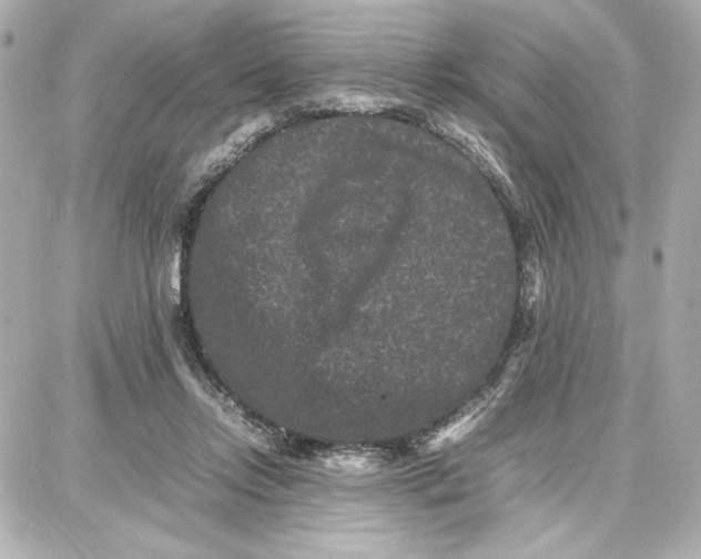 X0000087670358200705251624