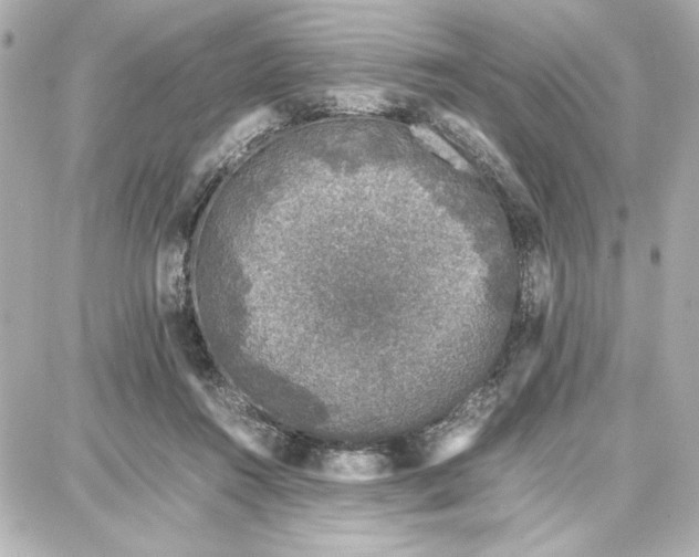 X0000087670360200705251624