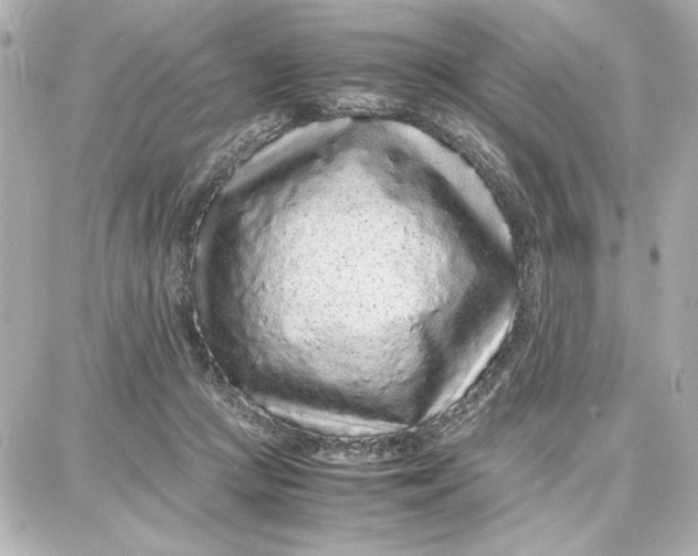 X0000087670361200705251624