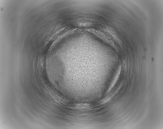 X0000087670363200705251625