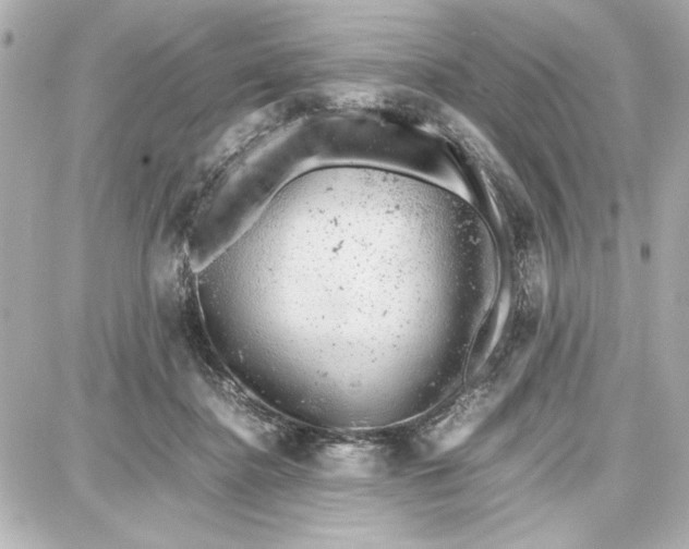 X0000087670364200705251625