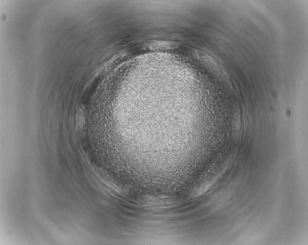 X0000087670367200705251625