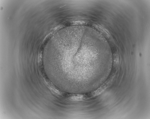 X0000087670369200705251625