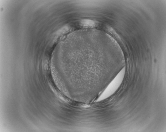 X0000087670379200705251625