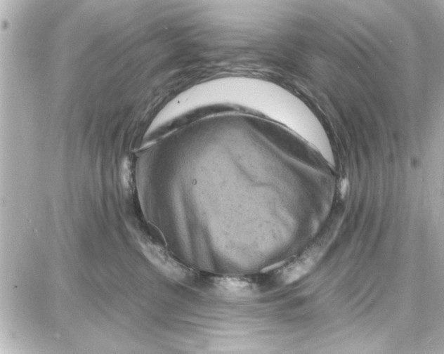 X0000087670380200705251625