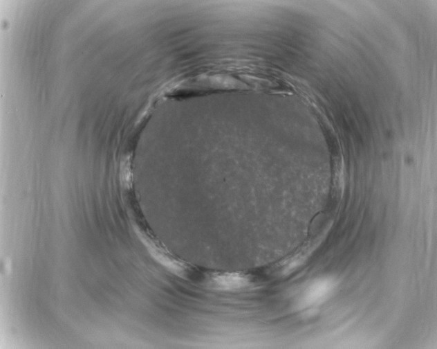 X0000087670383200705251625