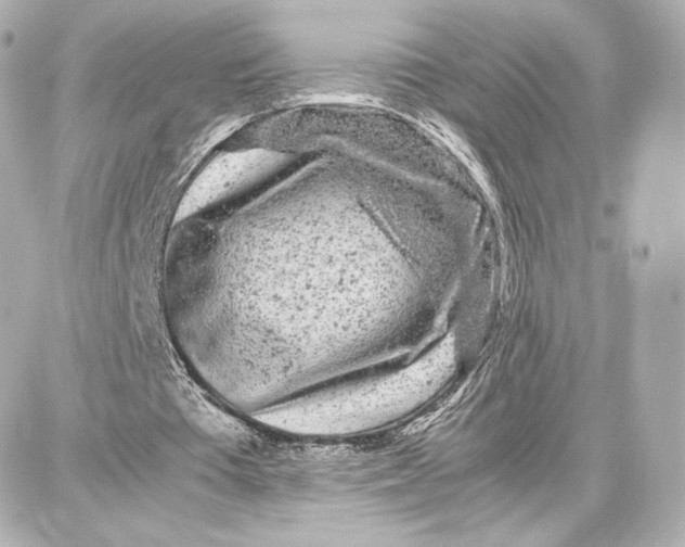 X0000087670385200705251624