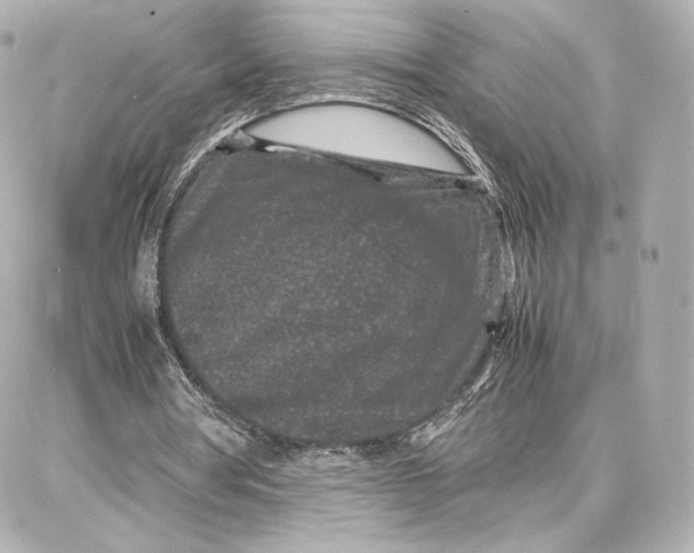 X0000087670386200705251624