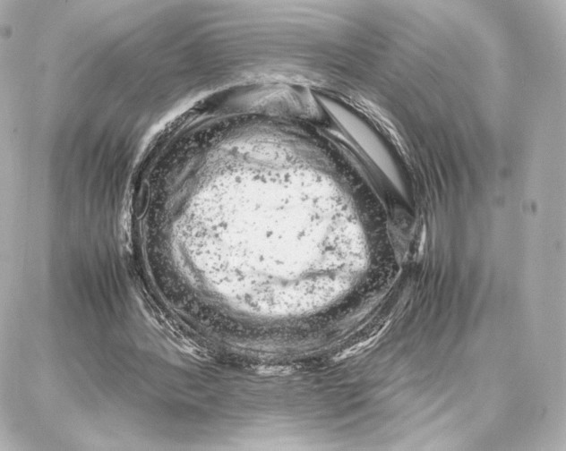 X0000087670388200705251624