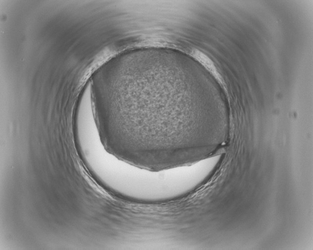 X0000087670389200705251624