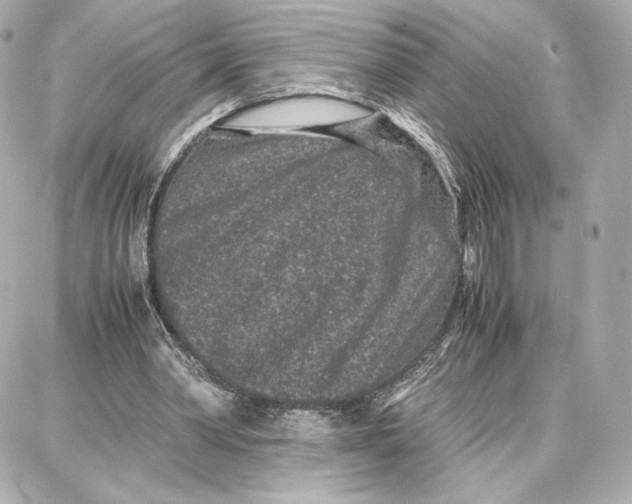 X0000087670390200705251624