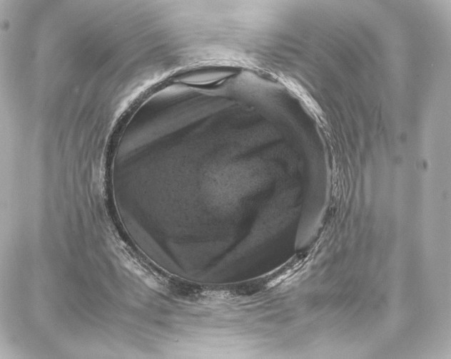 X0000087670391200705251624