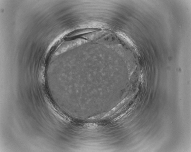 X0000087670392200705251624