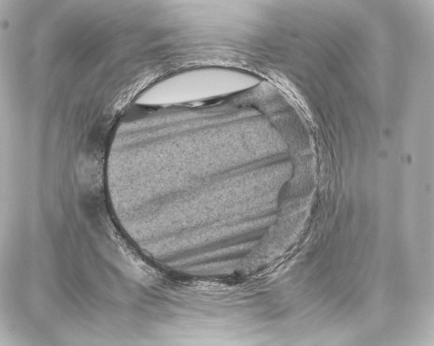 X0000087670393200705251624