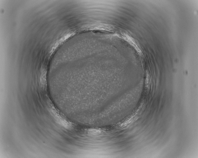 X0000087670394200705251624