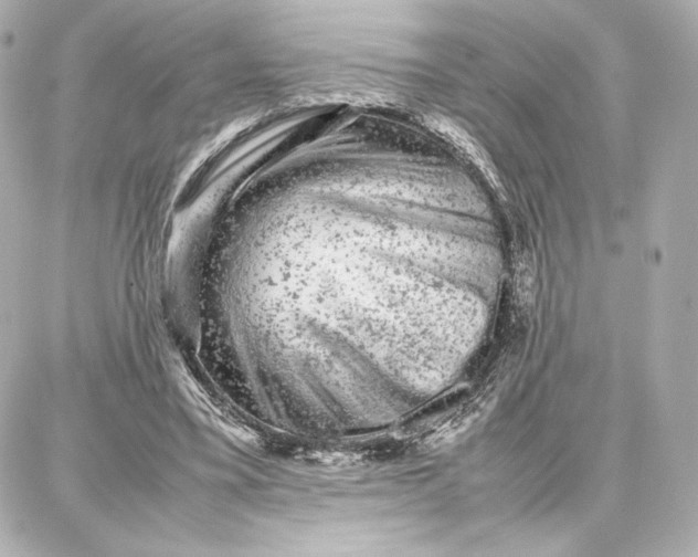 X0000087670395200705251624