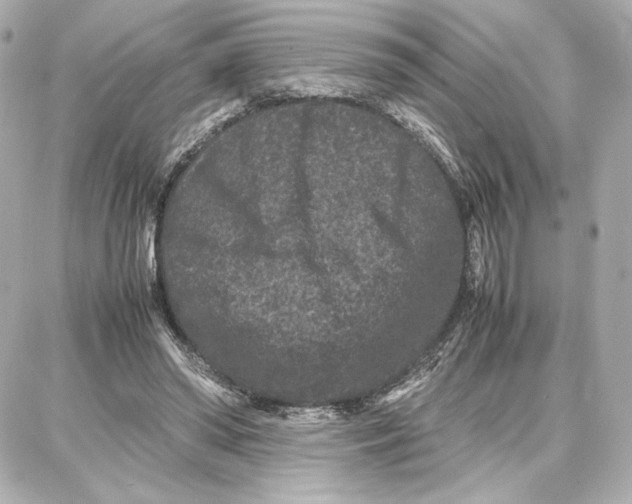 X0000087670398200705251624