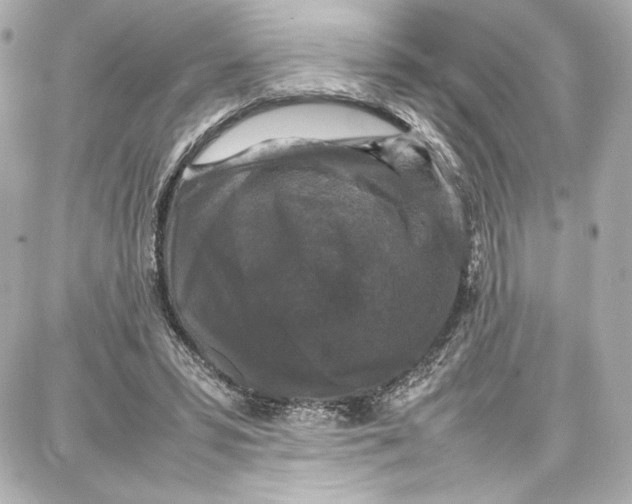 X0000087670399200705251624