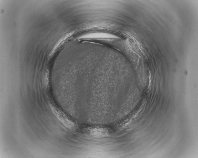 X0000087670400200705251624