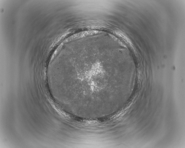 X0000087670401200705251624