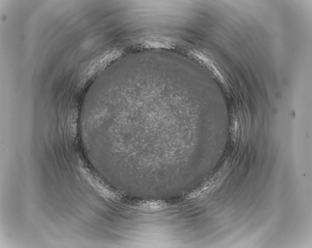 X0000087670402200705251624