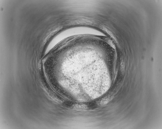 X0000087670403200705251624