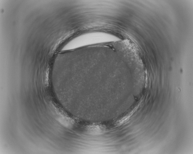 X0000087670404200705251624